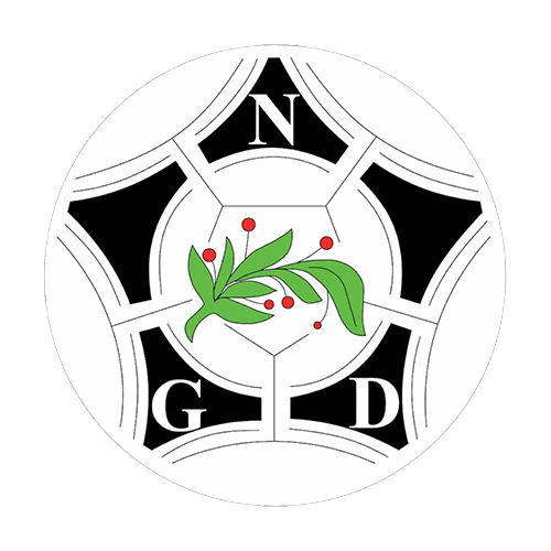Logótipo do Novasemente Grupo Desportivo